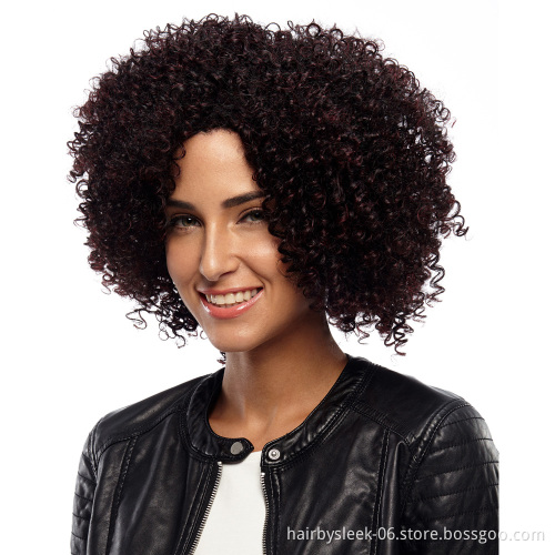 Synthetic Hair Wigs 14 Inch Short Wig Kinky Curly Machine Made Synthetic Hair Wigs For Black Women Heat Resistant Best Selling